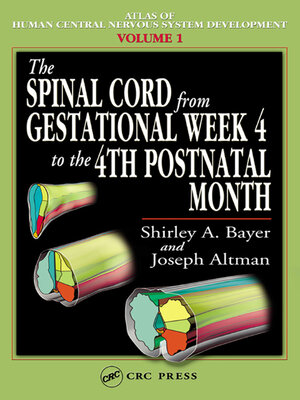 cover image of The Spinal Cord from Gestational Week 4 to the 4th Postnatal Month